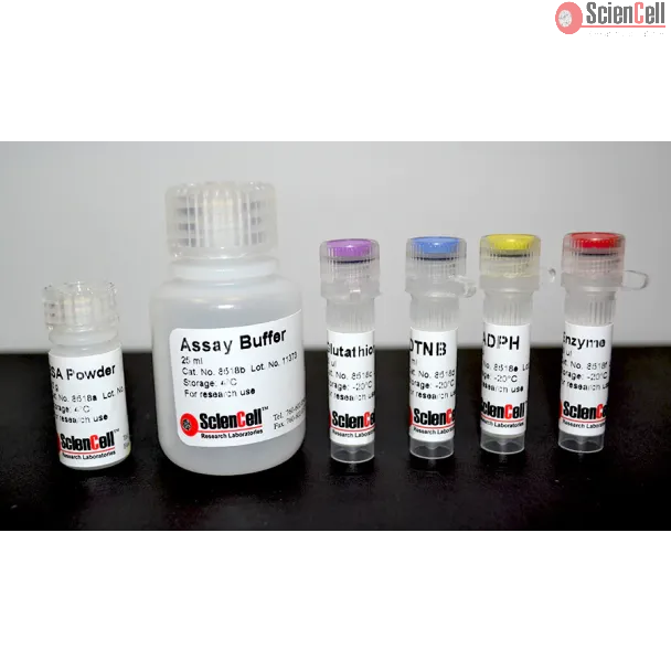 Total Glutathione Assay