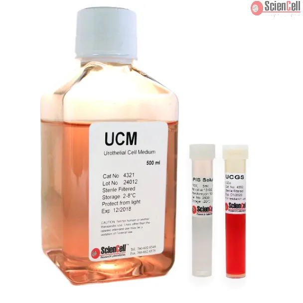 Urothelial Cell Medium