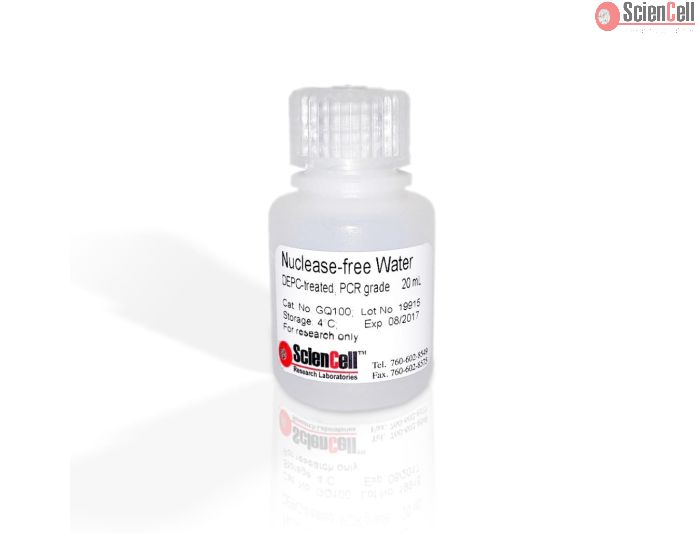 Nuclease-free Water, 20 mL