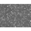 人主动脉外膜成纤维细胞（HAAF）- 相差显微镜（Phase contrast），100 倍。
