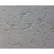 人类多能干细胞衍生的运动神经元（HPSC-MN）——浮雕对比（Relief Contrast），200×放大倍率。
