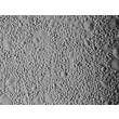 人类表皮角质形成细胞-成人 (HEK-a) - 浮雕对比，100x。