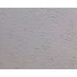 大鼠星形胶质细胞-脊髓（RA-sc）—浮雕对比（Relief Contrast），200×