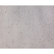 小鼠前脑神经元（MN-fb）- 微分干涉对比显微镜（Relief Contrast），200X
