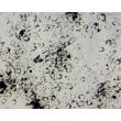 牛虹膜色素上皮细胞 (BIPEpiC) — 浮雕对比显微镜观察，200X 放大