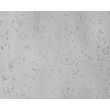 小鼠前脑神经元（MN-fb）- 微分干涉对比显微镜（Relief Contrast），200X
