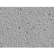 Human Corneal Epithelial Cells (HCEpiC) - Relief contrast, 100x.
