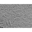 Human Iris Pigment Epithelial Cells (HIPEpiC) - Relief contrast, 100x.
