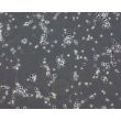 Human Pluripotent Stem Cell derived-Glutamatergic Neurons Phase Contrast 100X