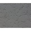 Human Pluripotent Stem Cell derived-Schwann Cells, Relief Contrast 200X