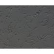 Human Pluripotent Stem Cell derived-Schwann Cells, Relief Contrast 200X