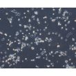Human Pluripotent Stem Cell derived-Sensory Neurons (HPSC-SN) - Phase Contrast 100X