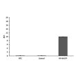 RT-qPCR validation of GFP expression in transfected cells
