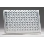 GeneQuery™ Human JNK Signaling Pathway qPCR Array Kit