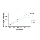 Luciferase Assay Kit