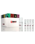 Absolute Human Telomere Length and Mitochondrial DNA Copy Number Dual Quantification qPCR Assay Kit