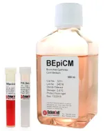BEpiCM, Bronchial_Epithelial_Cell_Medium