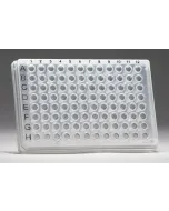 GeneQuery™ Human Urothelial Cell Biology qPCR Array Kit