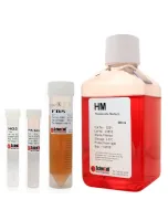 Hepatocyte Medium