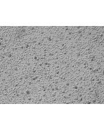 Human Liver Mononuclear Cells (HLMC) – Relief Contrast, 200x
