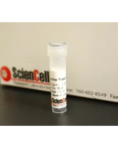 Bovine Plasma Vitronectin