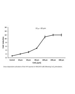 HRE Dual Reporter Vector
