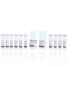 Human APOE Genotyping qPCR Assay Kit