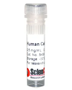 Human Cellular Fibronectin