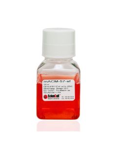 Mouse Astrocyte Conditioned Medium-57-Serum Free