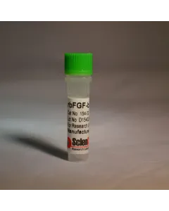 Recombinant Bovine Fibroblast Growth Factor-basic