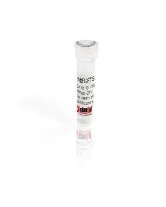 Recombinant Human Basic Fibroblast Growth Factor Thermostable