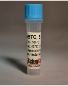 Recombinant Human Betacellulin