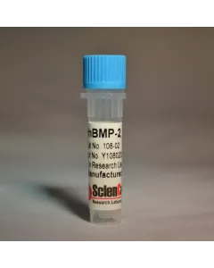 Recombinant Human Bone Morphogenetic Protein-2