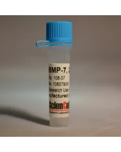 Recombinant Human Bone Morphogenetic Protein-7
