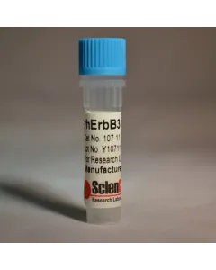 Recombinant Human ErbB3 Fragment