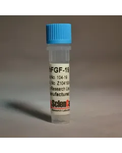 Recombinant Human Fibroblast Growth Factor-19