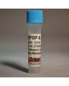 Recombinant Human Fibroblast Growth Factor-9