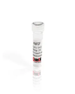 Recombinant Human Fibroblast Growth Factor-basic