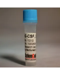 Recombinant Human Granulocyte Colony Stimulating Factor