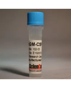 Recombinant Human Granulocyte Macrophage Colony Stimulating Factor