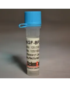 Recombinant Human IGF-BP3