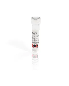 Recombinant Human Neurotrophin-4