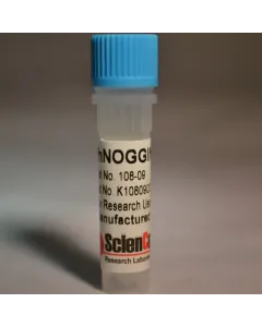 Recombinant Human NOGGIN