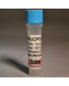 Recombinant Human Osteoprotegerin/Fc Chimera