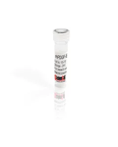 Recombinant Human Platelet-derived Growth Factor-BB