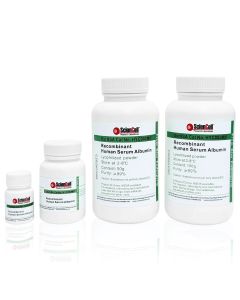 Recombinant Human Serum Albumin
