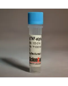 Recombinant Human Tumor Necrosis Factor-alpha, His 