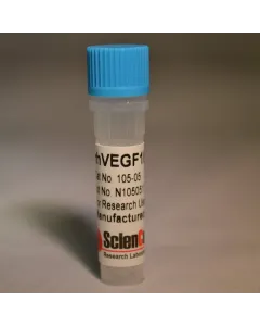 Recombinant Human VEGF165, rhVEGF165