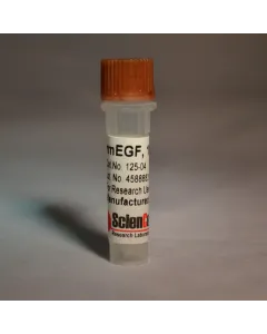 Recombinant Murine EGF