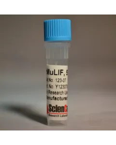 Recombinant Murine Leukemia Inhibitory Factor 
